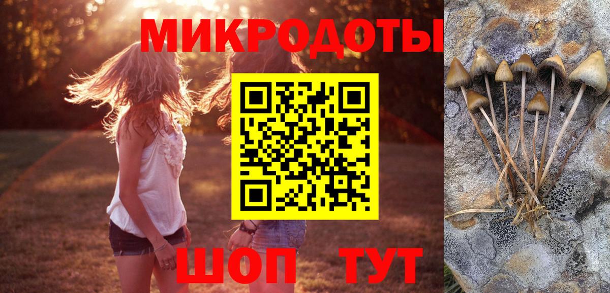 Псилоцибиновые грибы MAGIC MUSHROOMS  Вход с VPN  Магнитогорск 