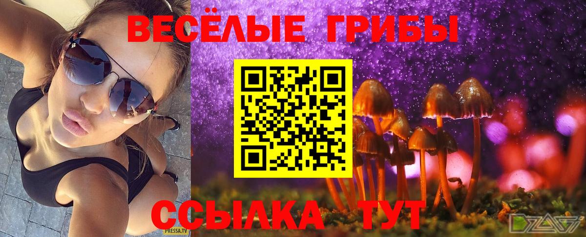 Галлюциногенные грибы Magic Shrooms Магнитогорск